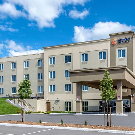 Comfort Inn & Suites Greater Napanee Exterior photo